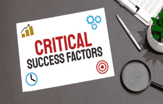 What is a Planning Control Cycle-Critical Success Factors
