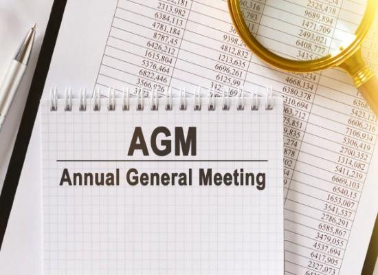 What is an Investor Day-Annual General Meeting