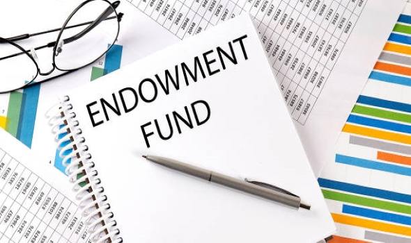 Quasi Endowments